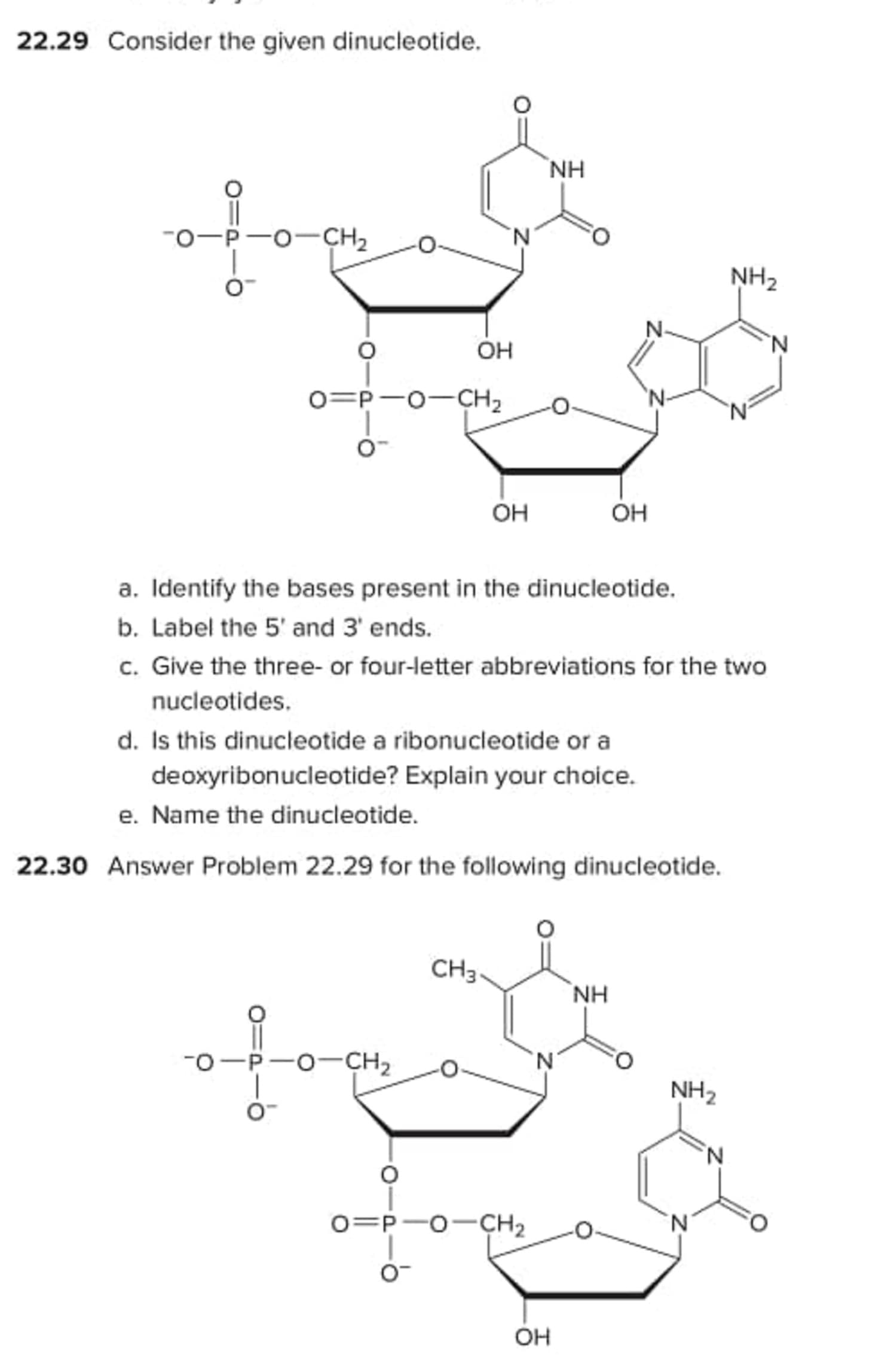 22.29 Consider the given dinucleotide.
NH
-0-P-0-CH2
N.
NH2
N-
Он
0=P-0-CH2
Он
Он
a. Identify the bases present in the dinucleotide.
b. Label the 5' and 3' ends.
c. Give the three- or four-letter abbreviations for the two
nucleotides.
d. Is this dinucleotide a ribonucleotide or a
deoxyribonucleotide? Explain your choice.
e. Name the dinucleotide.
22.30 Answer Problem 22.29 for the following dinucleotide.
CHз
NH
O-
-o-CH2
N'
NH2
N.
0=P-0-CH2
N.
OH
