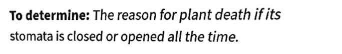 To determine: The reason for plant death if its
stomata is closed or opened all the time.
