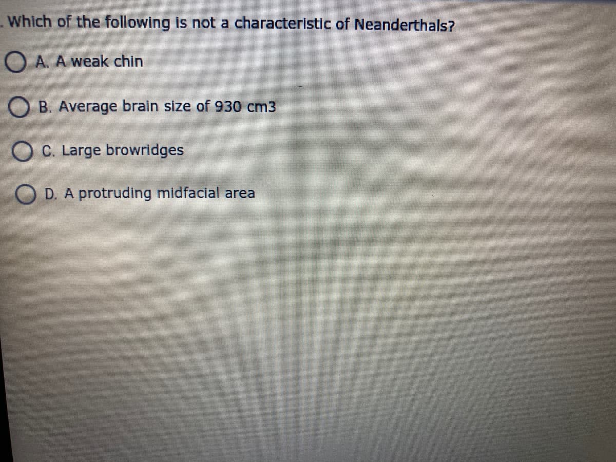 Which of the following is not a characteristic of Neanderthals?
O A. A weak chin
O B. Average brain size of 930 cm3
O C. Large browridges
O D. A protruding midfacial area
