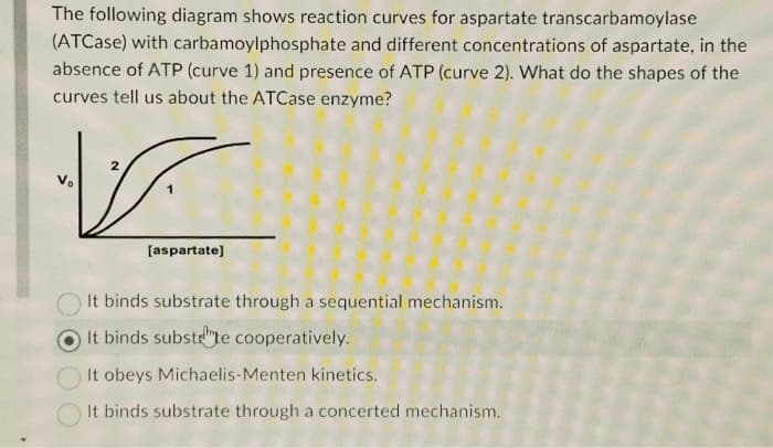 The following diagram shows reaction curves for aspartate transcarbamoylase
(ATCase) with carbamoylphosphate and different concentrations of aspartate, in the
absence of ATP (curve 1) and presence of ATP (curve 2). What do the shapes of the
curves tell us about the ATCase enzyme?
2
جر
[aspartate]
It binds substrate through a sequential mechanism.
It binds substte cooperatively.
It obeys Michaelis-Menten kinetics.
It binds substrate through a concerted mechanism.