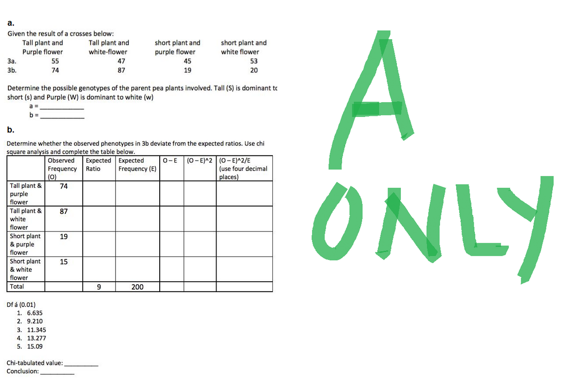 a.
Given the result of a crosses below:
Tall plant and
short plant and
short plant and
Tall plant and
Purple flower
white-flower
purple flower
white flower
3a.
55
47
45
53
3b.
74
87
19
20
Determine the possible genotypes of the parent pea plants involved. Tall (S) is dominant to
short (s) and Purple (W) is dominant to white (w)
a =
b=
b.
Determine whether the observed phenotypes in 3b deviate from the expected ratios. Use chi
square analysis and complete the table below.
O-E (O-E)^2
Observed Expected
Ratio
Expected
Frequency (E)
Frequency
(0-E)^2/E
(use four decimal
places)
(0)
Tall plant &
74
purple
flower
Tall plant &
87
white
flower
Short plant
19
& purple
flower
15
Short plant
& white
flower
Total
200
Df á (0.01)
1. 6.635
2. 9.210
3. 11.345
4. 13.277
5. 15.09
Chi-tabulated value:
Conclusion:
9
A
ONLY