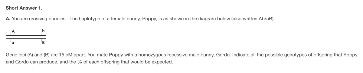 Short Answer 1.
A. You are crossing bunnies. The haplotype of a female bunny, Poppy, is as shown in the diagram below (also written Ab/aB).
A
b
B
Gene loci (A) and (B) are 15 cM apart. You mate Poppy with a homozygous recessive male bunny, Gordo. Indicate all the possible genotypes of offspring that Poppy
and Gordo can produce, and the % of each offspring that would be expected.