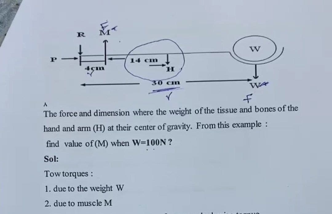 14 cim
4 çın
30 cm
The force and dimension where the weight of the tissue and bones of the
hand and arm (H) at their center of gravity. From this example :
find value of (M) when W=10ON ?
Sol:
Tow torques :
1. due to the weight W
2. due to muscle M
