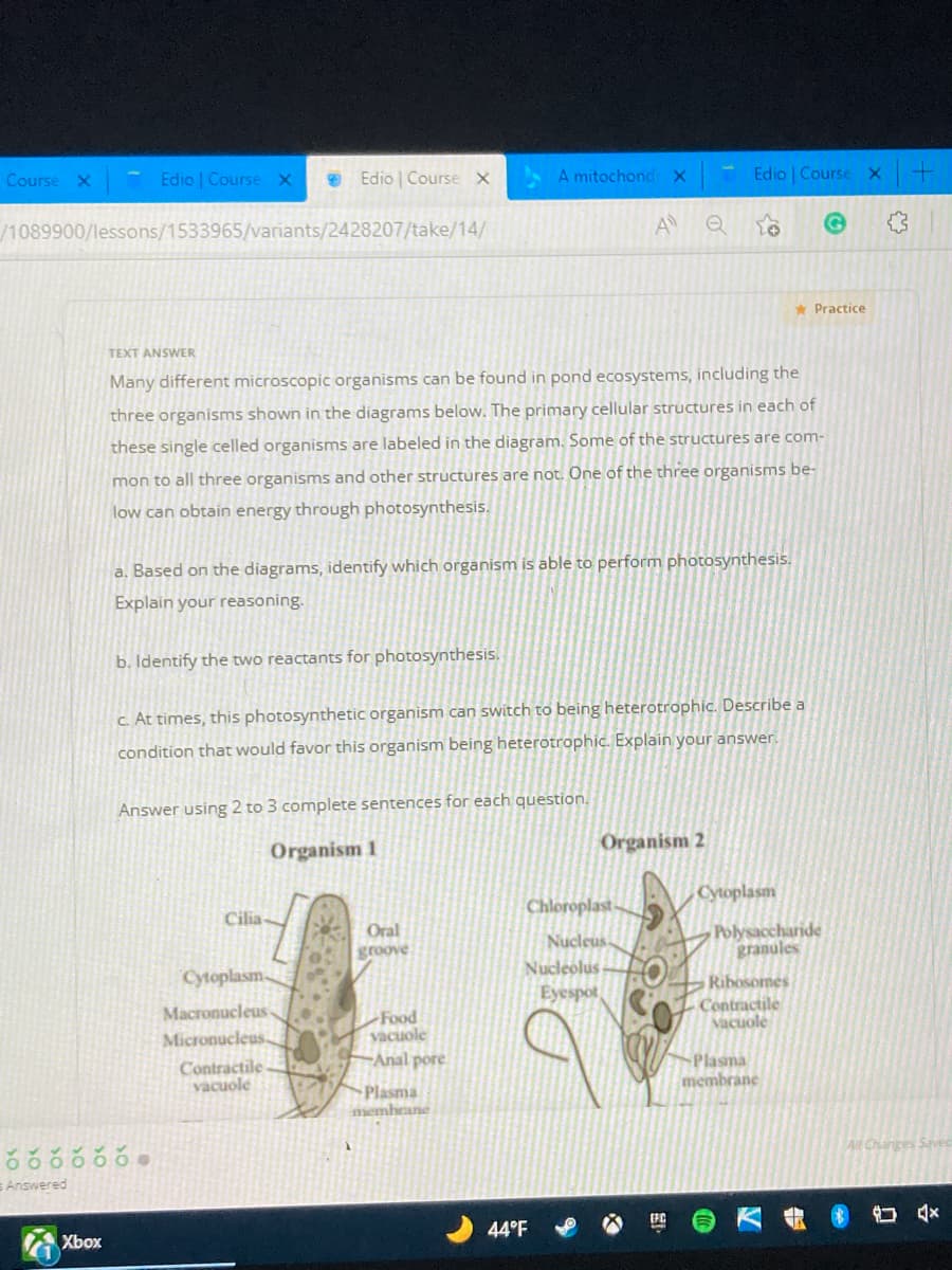 Course X
Edio | Course x
Edio | Course x
A mitochond x Edio Course X
/1089900/lessons/1533965/variants/2428207/take/14/
A
* Practice
TEXT ANSWER
Many different microscopic organisms can be found in pond ecosystems, including the
three organisms shown in the diagrams below. The primary cellular structures in each of
these single celled organisms are labeled in the diagram. Some of the structures are com-
mon to all three organisms and other structures are not. One of the three organisms be-
low can obtain energy through photosynthesis.
a. Based on the diagrams, identify which organism is able to perform photosynthesis.
Explain your reasoning.
b. Identify the two reactants for photosynthesis.
c. At times, this photosynthetic organism can switch to being heterotrophic. Describe a
condition that would favor this organism being heterotrophic. Explain your answer.
Answer using 2 to 3 complete sentences for each question.
Organism 2
Organism 1
Cytoplasm
Chloroplast-
Cilia
Polysaccharide
granules
Oral
Nucleus-
groove
Nucleolus
Cytoplasm.
Ribosomes
Contractile
vacuole
Eyespot
Macronucleus
Food
vacuole
-Anal pore
Micronucleus.
Contractile
vacuole
Plasma
membrane
Plasma
memheane
All Changes Saved
Answered
44°F
Xbox
