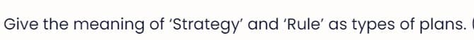 Give the meaning of 'Strategy' and 'Rule' as types of plans.