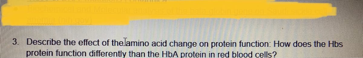 Biochemic
Molecular analysis of the bela-glob
Saudi sickle
anemia
3. Describe the effect of thelamino acid change on protein function: How does the Hbs
protein function differently than the HbA protein in red blood cells?
