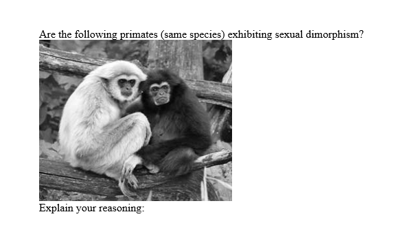 Are the following primates (same species) exhibiting sexual dimorphism?
Explain your reasoning: