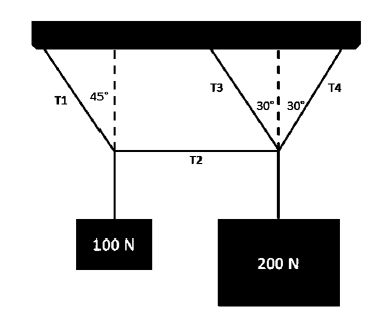 T1
45°
100 N
T2
T3
30⁰ 30%
200 N
T4