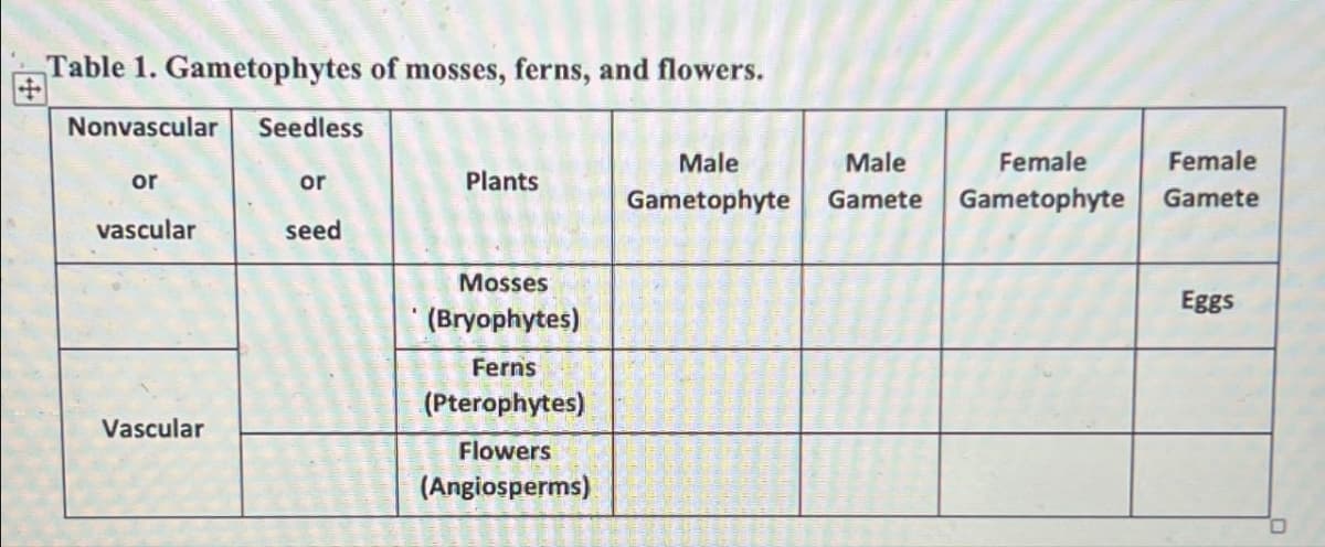 Table 1. Gametophytes of mosses, ferns, and flowers.
Nonvascular
or
vascular
Vascular
Seedless
or
seed
Plants
Mosses
(Bryophytes)
Ferns
(Pterophytes)
Flowers
(Angiosperms)
Male
Male
Female
Gametophyte Gamete Gametophyte
Female
Gamete
Eggs