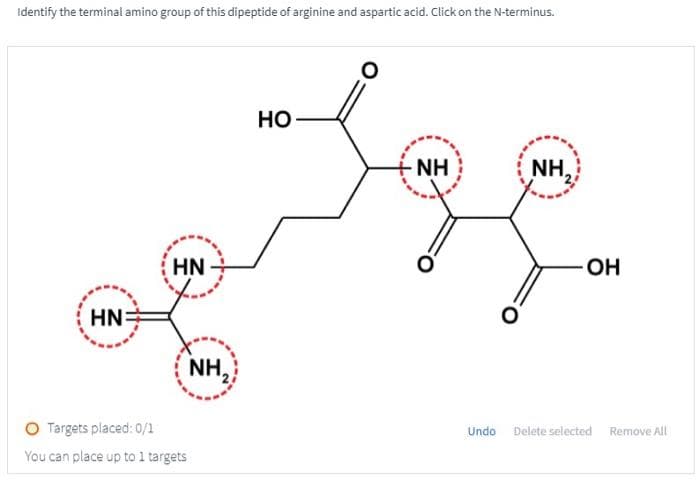 Identify the terminal amino group of this dipeptide of arginine and aspartic acid. Click on the N-terminus.
HN:
HN
Targets placed: 0/1
You can place up to 1 targets
NH₂
HO
O
- NH
NH,
-OH
Undo Delete selected Remove All