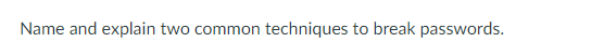 Name and explain two common techniques to break passwords.