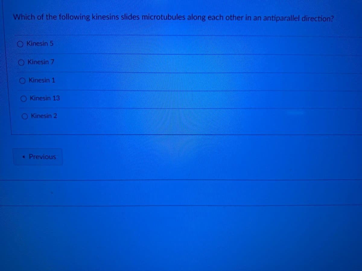 Which of the following kinesins slides microtubules along each other in an antiparallel direction?
Kinesin 5
Kinesin 7
4
Kinesin 1
O Kinesin 13
O Kinesin 2
Previous