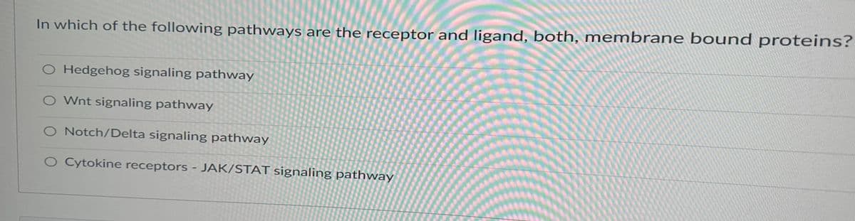 In which of the following pathways are the receptor and ligand, both, membrane bound proteins?
O Hedgehog signaling pathway
Wnt signaling pathway
Notch/Delta signaling pathway
Cytokine receptors - JAK/STAT signaling pathway