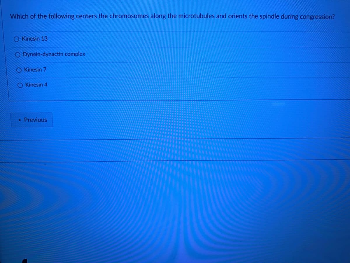 Which of the following centers the chromosomes along the microtubules and orients the spindle during congression?
Kinesin 13
Dynein-dynactin complex
Kinesin 7
Kinesin 4
<< Previous