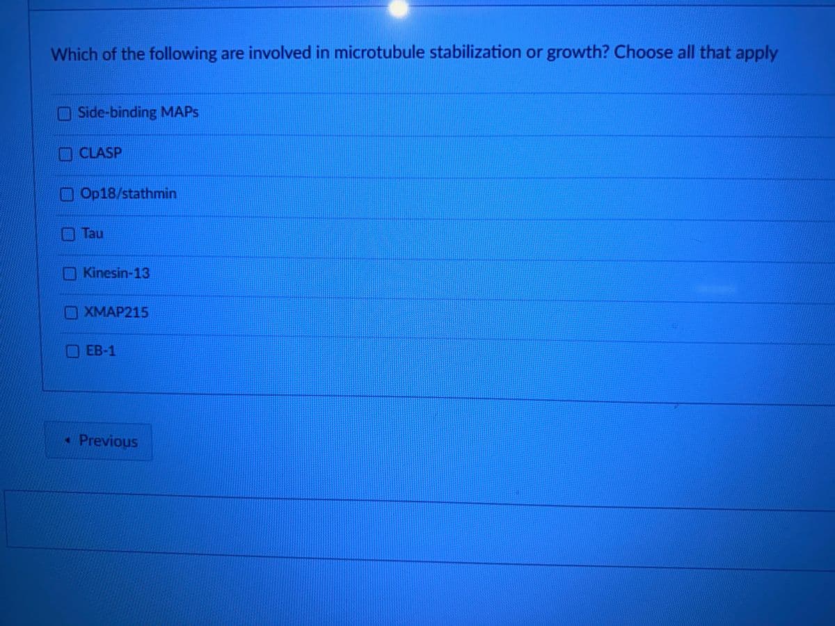 Which of the following are involved in microtubule stabilization or growth? Choose all that apply
Side-binding MAPs
CLASP
Op18/stathmin
Tau
Kinesin-13
XMAP215
EB-1
<< Previous