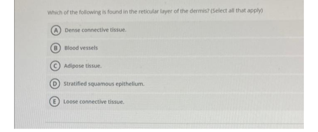 Which of the following is found in the reticular layer of the dermis? (Select all that apply)
Dense connective tissue.
Blood vessels
Adipose tissue.
Stratified squamous epithelium.
Loose connective tissue.
