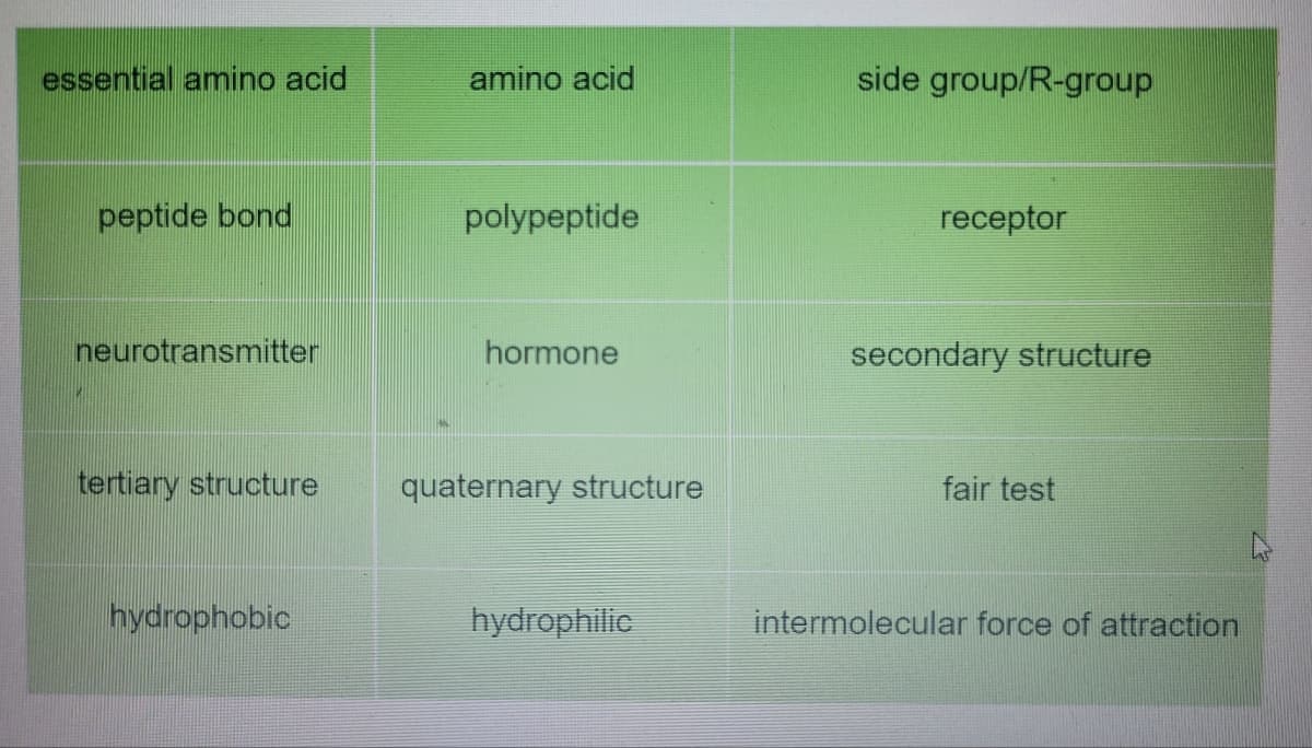 essential amino acid
amino acid
side group/R-group
peptide bond
polypeptide
receptor
neurotransmitter
hormone
secondary structure
tertiary structure
quaternary structure
fair test
hydrophobic
hydrophilic
intermolecular force of attraction
