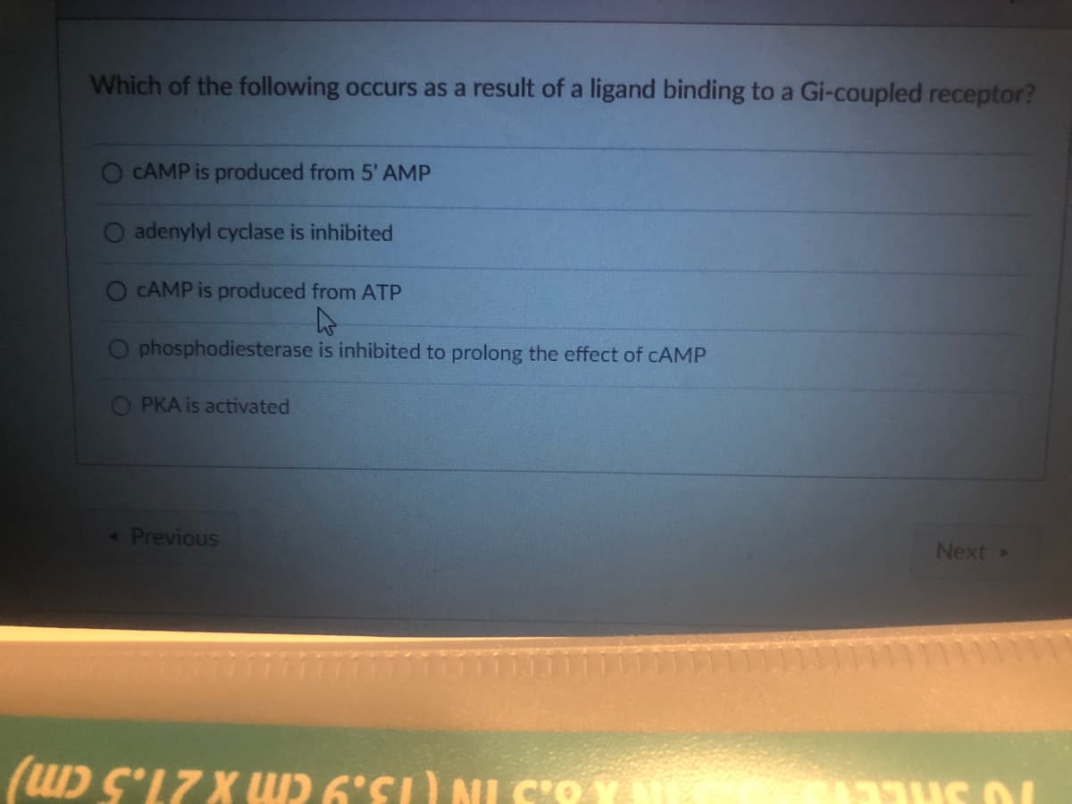 Which of the following occurs as a result of a ligand binding to a Gi-coupled receptor?
CAMP is produced from 5' AMP
adenylyl cyclase is inhibited
CAMP is produced from ATP
phosphodiesterase is inhibited to prolong the effect of CAMP
PKA is activated
< Previous
(W) S'17 XW2 6'SI) NIS'R YS
Next >
US 04