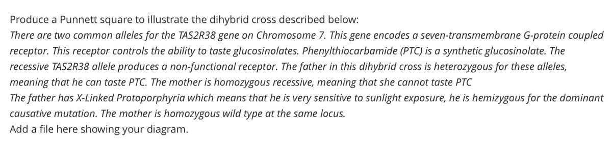 Produce a Punnett square to illustrate the dihybrid cross described below:
There are two common alleles for the TAS2R38 gene on Chromosome 7. This gene encodes a seven-transmembrane G-protein coupled
receptor. This receptor controls the ability to taste glucosinolates. Phenylthiocarbamide (PTC) is a synthetic glucosinolate. The
recessive TAS2R38 allele produces a non-functional receptor. The father in this dihybrid cross is heterozygous for these alleles,
meaning that he can taste PTC. The mother is homozygous recessive, meaning that she cannot taste PTC
The father has X-Linked Protoporphyria which means that he is very sensitive to sunlight exposure, he is hemizygous for the dominant
causative mutation. The mother is homozygous wild type at the same locus.
Add a file here showing your diagram.