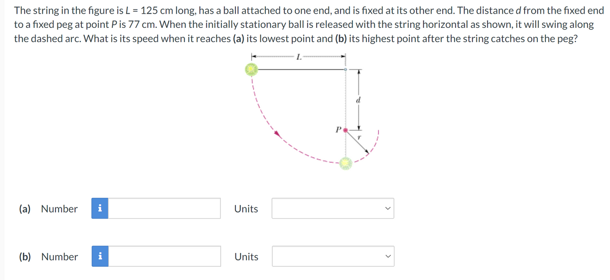 The string in the figure is L = 125 cm long, has a ball attached to one end, and is fixed at its other end. The distance d from the fixed end
to a fixed peg at point P is 77 cm. When the initially stationary ball is released with the string horizontal as shown, it will swing along
the dashed arc. What is its speed when it reaches (a) its lowest point and (b) its highest point after the string catches on the peg?
1
1
L
(a) Number
Units
(b) Number
Units
>