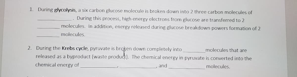 1. During glycolysis, a six carbon glucose molecule is broken down into 2 three carbon molecules of
During this process, high energy electrons from glucose are transferred to 2
molecules. In addition, energy released during glucose breakdown powers formation of 2
molecules.
2. During the Krebs cycle, pyruvate is broken down completely into
molecules that are
released as a byproduct (waste product). The chemical energy in pyruvate is converted into the
chemical energy of
and
molecules.
