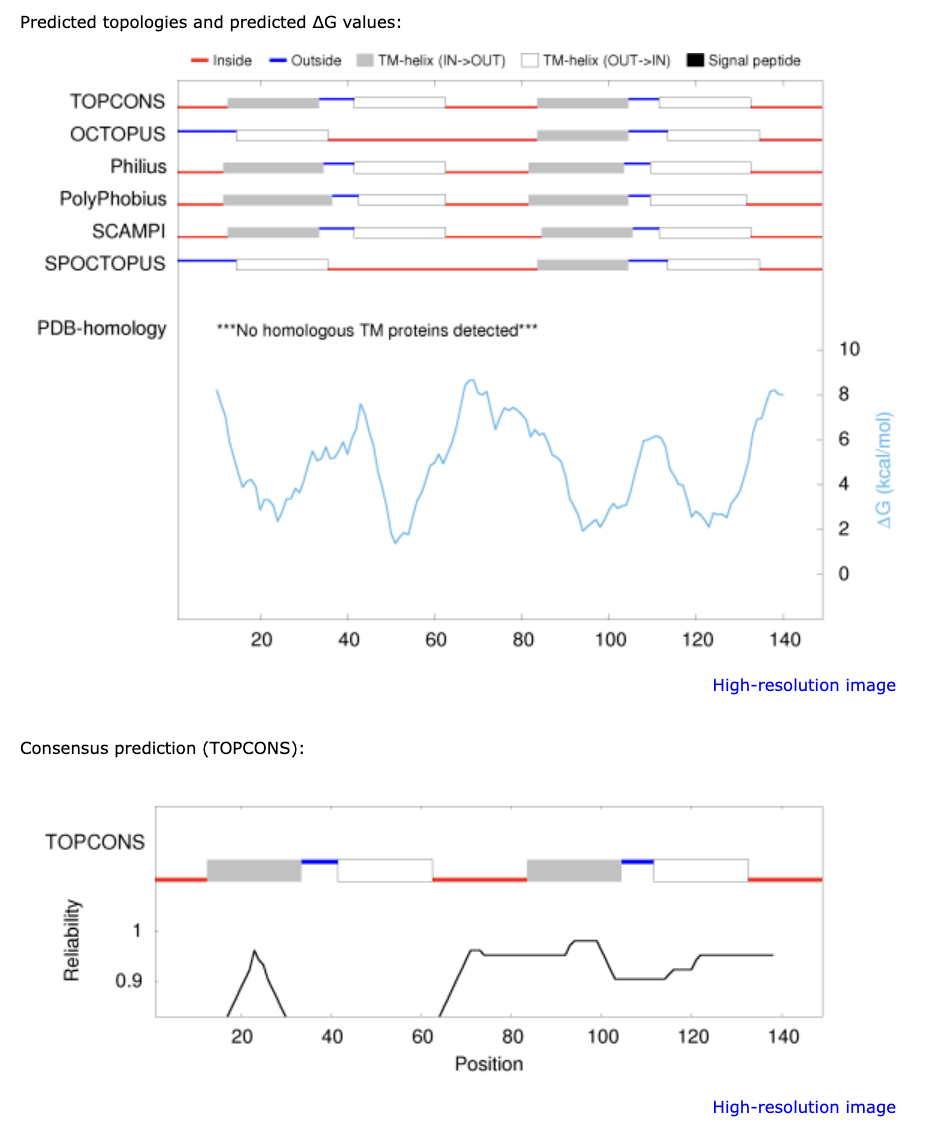 Predicted topologies and predicted AG values:
- Inside -Outside
TM-helix (IN->OUT) TM-helix (OUT->IN) Signal peptide
TOPCONS
OCTOPUS
Philius
PolyPhobius
SCAMPI
SPOCTOPUS
PDB-homology
***No homologous TM proteins detected***
20
40
60
60
Consensus prediction (TOPCONS):
TOPCONS
Reliability
1
0.9
10
10
8
60
+
2
0
AG (kcal/mol)
80
100
120
140
High-resolution image
20
40
60
80
Position
100
120
140
High-resolution image.