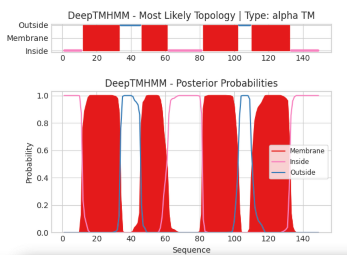 Outside
Membrane
Inside
Probability
1.0
0.8
0.6
0.4
0.2
0.0
0
0
DeepTMHMM - Most Likely Topology | Type: alpha TM
20
20
40 60
40
80
60
DeepTMHMM - Posterior Probabilities
100
80
Sequence
120
100
120
140
Membrane
Inside
Outside
140