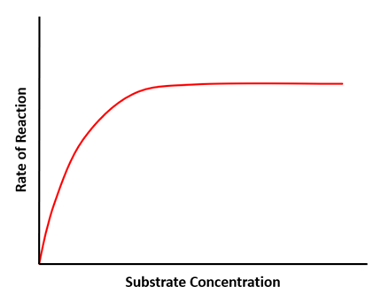 Substrate Concentration
Rate of Reaction
