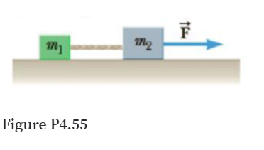 F
m2
Figure P4.55
