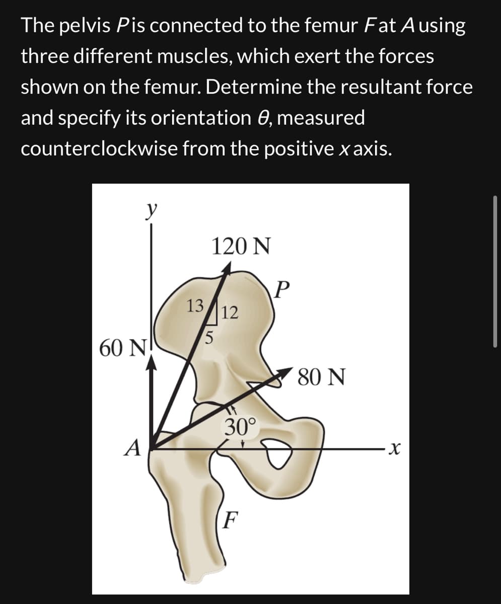 The pelvis Pis connected to the femur Fat A using
three different muscles, which exert the forces
shown on the femur. Determine the resultant force
and specify its orientation 0, measured
counterclockwise from the positive x axis.
y
60 N
A
120 N
13/12
5
30°
P
80 N
X