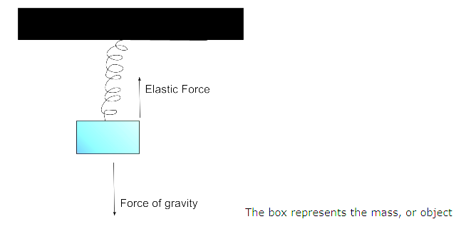 Elastic Force
Force of gravity
The box represents the mass, or
object
