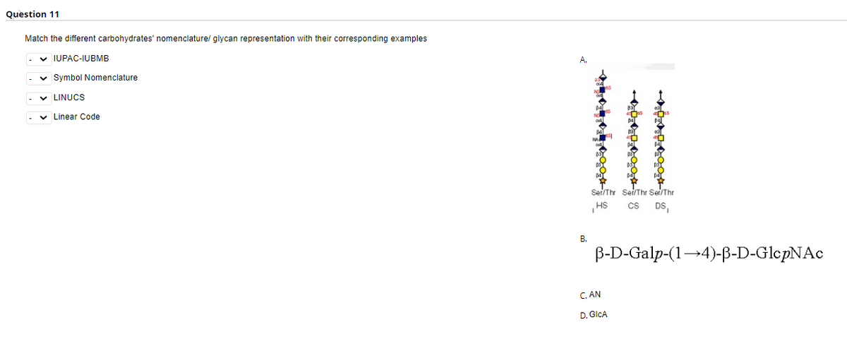 Question 11
Match the different carbohydrates' nomenclature/ glycan representation with their corresponding examples
v IUPAC-IUBMB
v Symbol Nomenclature
v LINUCS
v Linear Code
Ser/Thr Sei/Thr Ser/Thr
HS
Cs
DS,
В.
B-D-Galp-(1→4)-ß-D-GlepNAc
C. AN
D. GICA
