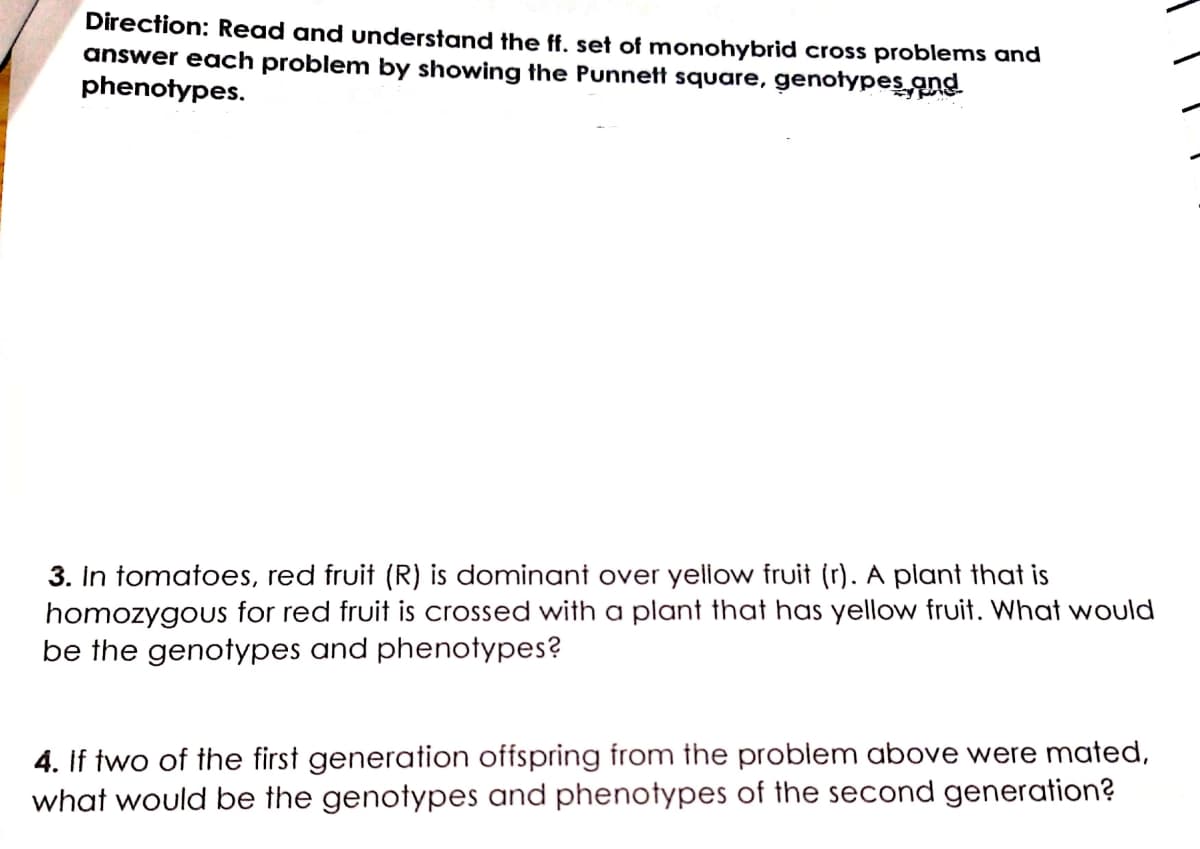 Direction: Read and understand the ff. set of monohybrid cross problems and
answer each problem by showing the Punnett square, genotypes ans
phenotypes.
3. In tomatoes, red fruit (R) is dominant over yellow fruit (r). A plant that is
homozygous for red fruit is crossed with a plant that has yellow fruit. What would
be the genotypes and phenotypes?
4. If two of the first generation offspring from the problem above were mated,
what would be the genotypes and phenotypes of the second generation?
