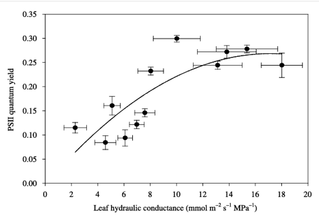 PSII quantum yield
0.35
0.30
0.25
0.20
0.15
0.10
0.05
0.00
0
2
4
6
8
10 12
14
16
Leaf hydraulic conductance (mmol m2 s¹ MPa™¹)
S
18
20