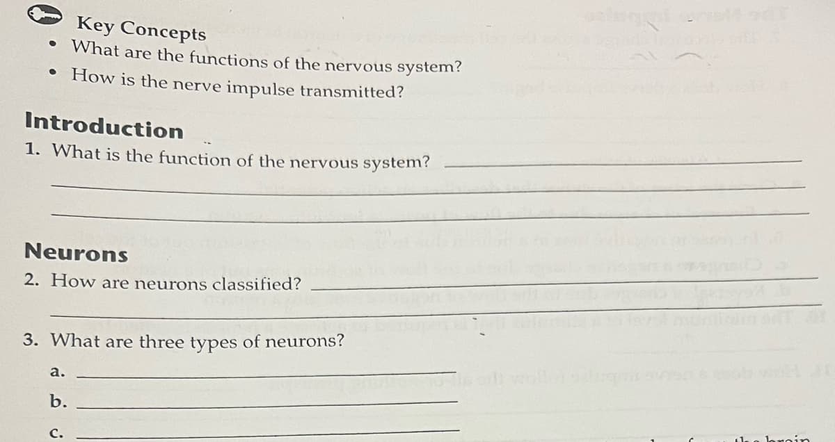 Key Concepts
• What are the functions of the nervous system?
How is the nerve impulse transmitted?
●
Introduction
1. What is the function of the nervous system?
Neurons
2. How are neurons classified?
3. What are three types of neurons?
a.
b.
C.
dugglers
in