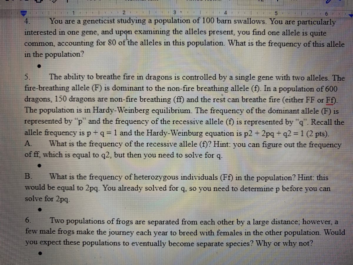 1.
9.
You are a genetiCıst studying a population of 100 barn swallows. You are particularly
interested in one gene, and upon examining the alleles present, you find one allele is quite
common, accounting for 80 of the alleles in this population. What is the frequency of this allele
in the population?
4.
5.
The ability to breathe fire in dragons is controlled by a single gene with two alleles. The
fire-breathing allele (F) is dominant to the non-fire breathing allele (f). In a population of 600
dragons, 150 dragons are non-fire breathing (ff) and the rest can breathe fire (either FF or Ff)
The population is in Hardy-Weinberg equilibrium. The frequency of the dominant allele (F) is
represented by "p and the frequency of the recessive allele (f) is represented by "q". Recall the
allele frequency is p+ q = 1 and the Hardy-Weinburg equation is p2 + 2pq + q2 = 1 (2 pts).
What is the frequency of the recessive allele (f)? Hint: you can figure out the frequency
of ff, which is equal to q2, but then you need to solve for
A.
q.
What is the frequency of heterozygous individuals (Ff) in the population? Hint: this
would be equal to 2pq. You already solved for q, so you need to determine p before you can
solve for 2pq.
B.
6.
Two populations of frogs are separated from each other by a large distance, however, a
few male frogs make the journey each year to breed with females in the other population. Would
you expect these populations to eventually become separate species? Why or why not?
