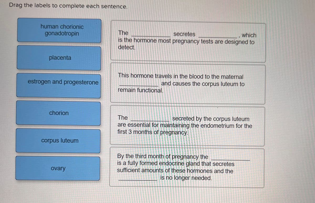 Drag the labels to complete each sentence.
human chorionic
gonadotropin
placenta
estrogen and progesterone
chorion
corpus luteum
ovary
The
secretes
which
is the hormone most pregnancy tests are designed to
detect.
This hormone travels in the blood to the maternal
and causes the corpus luteum to
remain functional.
The
secreted by the corpus luteum
are essential for maintaining the endometrium for the
first 3 months of pregnancy.
By the third month of pregnancy the
is a fully formed endocrine gland that secretes
sufficient amounts of these hormones and the
is no longer needed.
