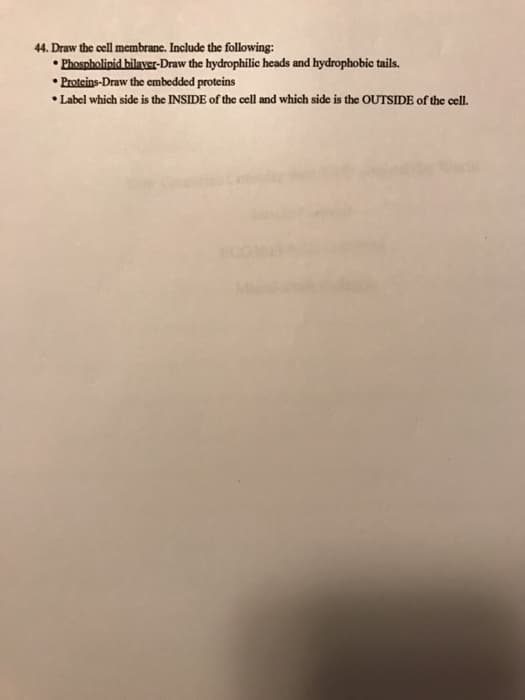 44. Draw the cell membrane. Include the following:
• Phospholipid bilayer-Draw the hydrophilic heads and hydrophobic tails.
• Proteins-Draw the embedded proteins
• Label which side is the INSIDE of the cell and which side is the OUTSIDE of the cell.