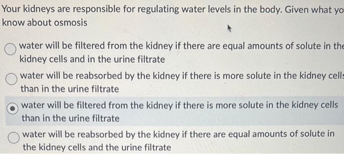 Your kidneys are responsible for regulating water levels in the body. Given what yo
know about osmosis
water will be filtered from the kidney if there are equal amounts of solute in the
kidney cells and in the urine filtrate
water will be reabsorbed by the kidney if there is more solute in the kidney cells
than in the urine filtrate
water will be filtered from the kidney if there is more solute in the kidney cells
than in the urine filtrate
water will be reabsorbed by the kidney if there are equal amounts of solute in
the kidney cells and the urine filtrate