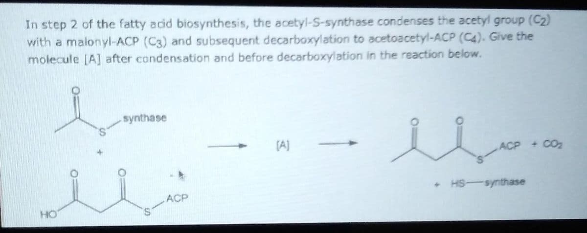 In step 2 of the fatty acid biosynthesis, the acetyl-S-synthase condenses the acetyl group (C2)
with a malonyl-ACP (C3) and subsequent decarboxylation to acetoacetyl-ACP (C4). Give the
molecule [A] after condensation and before decarboxylation in the reaction below.
synthase
(A]
ACP + CO2
+ HS synthase
ACP
HO
S.
