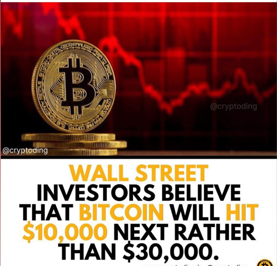 FARI
@cryptoding
DECENT
ENIFY
B
NOW eru
Which Porbant
@cryptoding
WALL STREET
INVESTORS BELIEVE
THAT BITCOIN WILL HIT
$10,000 NEXT RATHER
THAN $30,000.