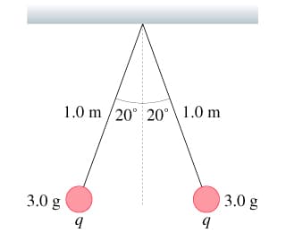 1.0 m/20° 20° 1.0 m
3.0 g
9
9
3.0 g