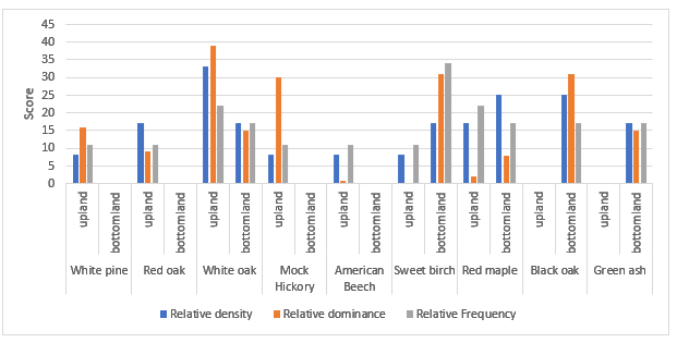 Score
45
40
35
upland
bottomland
upland
bottomland
White pine Red oak
upland
bottomland
White oak
Relative density
upland
bottomland
upland
bottomland
upland
bottomland
upland
bottomland
upland
Relative Frequency
bottomland
upland
bottomland
Mock
American Sweet birch Red maple Black oak Green ash
Hickory Beech
Relative dominance