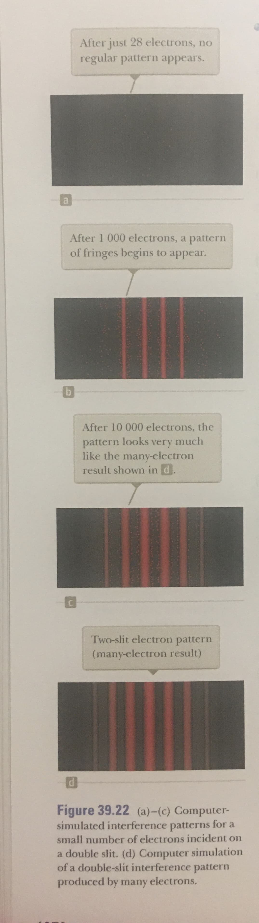After just 28 electrons, no
regular pattern appears.
a
After 1 000 electrons, a pattern
of fringes begins to appear.
b
After 10 000 electrons, the
pattern looks very much
like the many-electron
result shown in d.
C
Two-slit electron pattern
(many-electron result)
Figure 39.22 (a)-(c) Computer-
simulated interference patterns for a
small number of electrons incident on
a double slit. (d) Computer simulation
of a double-slit interference pattern
produced by many
electrons.
