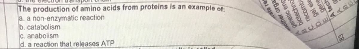 The production of amino acids from proteins is an example of:
a. a non-enzymatic reaction
b. catabolism
c. anabolism
d. a reaction that releases ATP
rate rec
ceng
another
Hotechno
C. recombi
gene
gel ele
D.
B.
A tech
6
1400
83