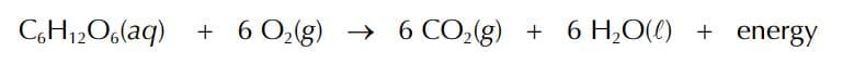 CH12O6(aq) + 6 O,(g) → 6 CO,(g)
+ 6 H2O(l) + energy
