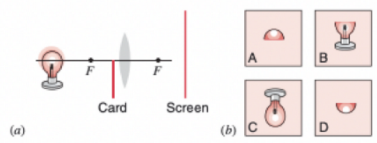 A
F
F
Card
Screen
(a)
(b) C
D
