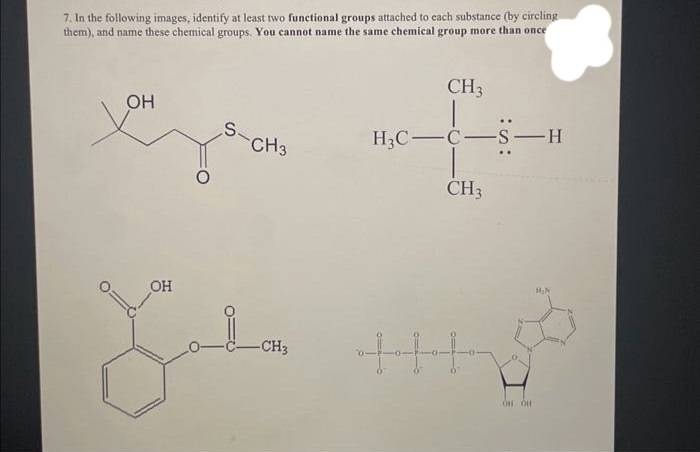 7. In the following images, identify at least two functional groups attached to each substance (by circling
them), and name these chemical groups. You cannot name the same chemical group more than once
OH
S-CH3
CH3
H3C CS-H
CH3
OH
Leta 113
-CH3
+++
OH OH
1₂N