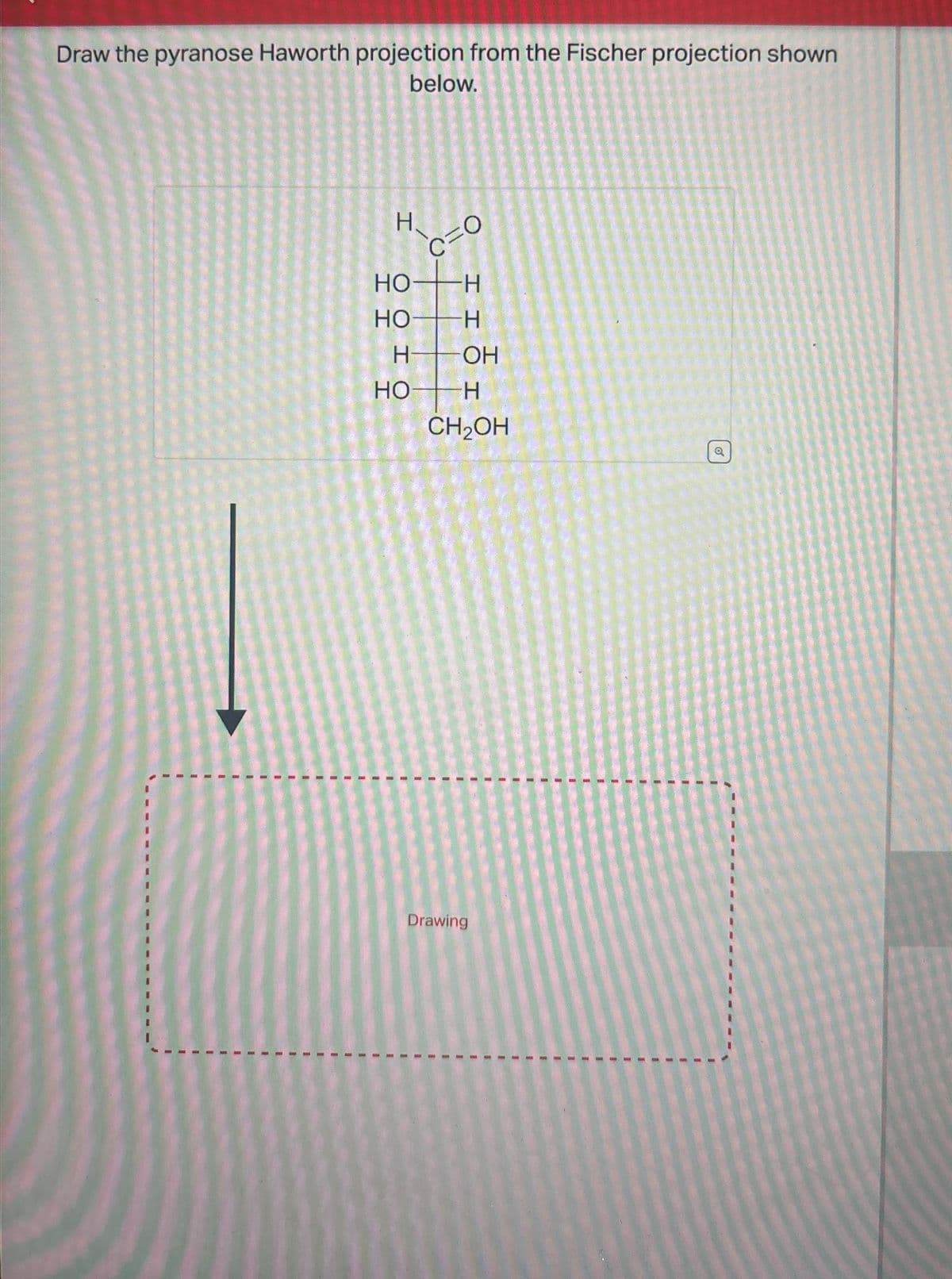 Draw the pyranose Haworth projection from the Fischer projection shown
below.
H
HO
HO
H H
H-
OH
HO
H
CH2OH
Drawing