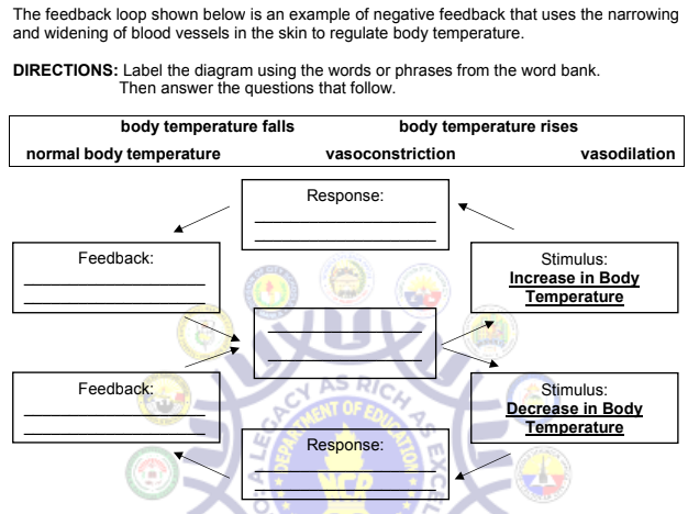 The feedback loop shown below is an example of negative feedback that uses the narrowing
and widening of blood vessels in the skin to regulate body temperature.
DIRECTIONS: Label the diagram using the words or phrases from the word bank.
Then answer the questions that follow.
body temperature falls
body temperature rises
normal body temperature
vasoconstriction
vasodilation
Feedback:
Feedback:
Response:
ACY
MENT
CHA
RICH
OF EATIO
Response:
EX
Stimulus:
Increase in Body
Temperature
Stimulus:
Decrease in Body
Temperature